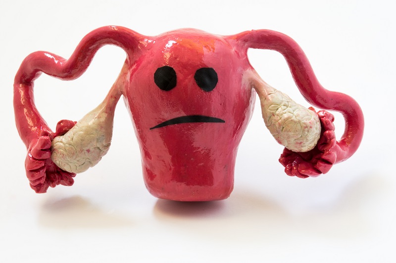 Women's Health Uterine Fibroids